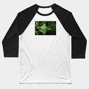 Jungle Water / Swiss Artwork Photography Baseball T-Shirt